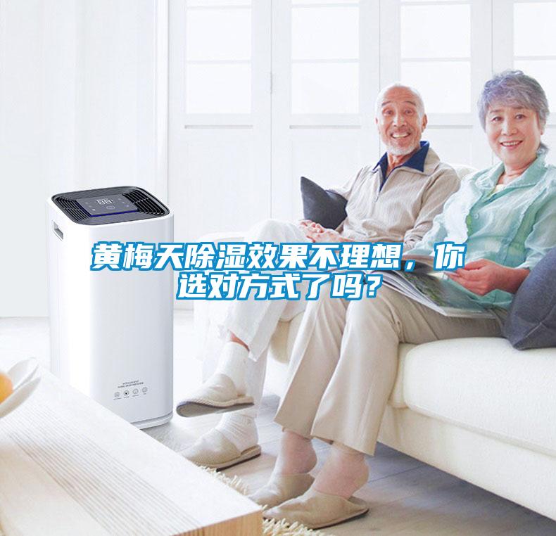 欧美黄色性爱视频网站 黄梅天除湿效果不理想，你选对方式了吗？