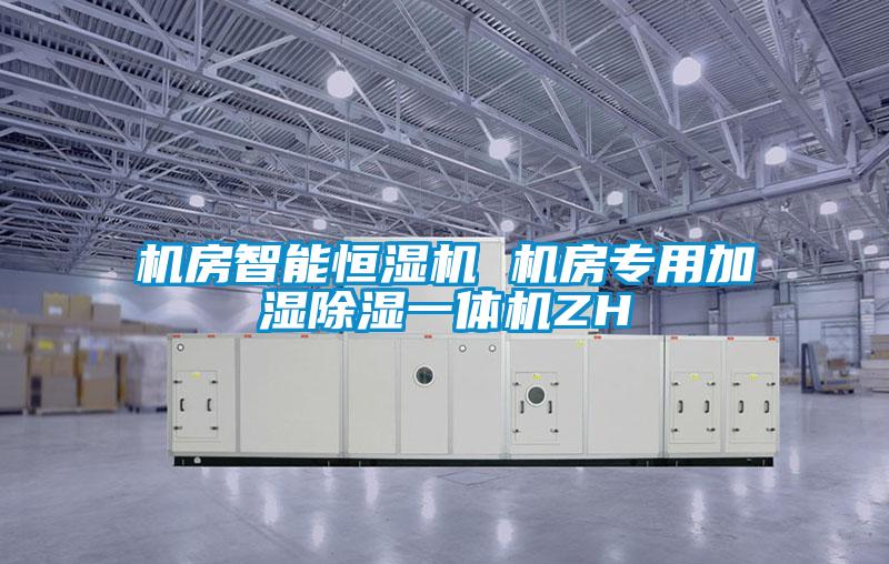欧美成色手机在线观看 机房智能恒湿机 机房专用加湿除湿一体机ZH