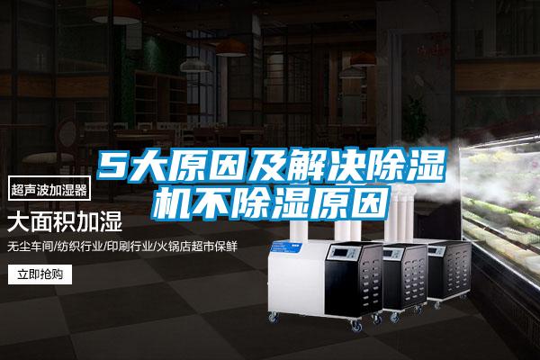 欧美黄色性爱视频网站 5大原因及解决除湿机不除湿原因
