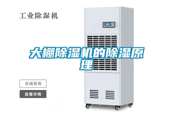 欧美黄色性爱视频网站 大棚除湿机的除湿原理