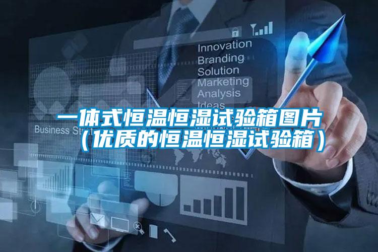 欧美黄色电影在线播放 一体式恒温恒湿试验箱图片（优质的恒温恒湿试验箱）