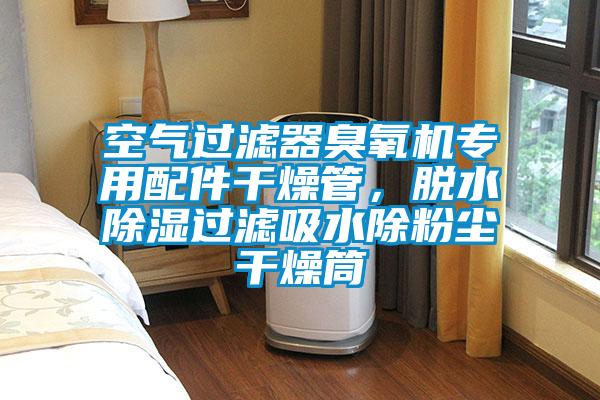 欧美黄色电影在线播放 空气过滤器臭氧机专用配件干燥管，脱水除湿过滤吸水除粉尘干燥筒