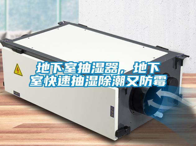 欧美成色手机在线观看 地下室抽湿器，地下室快速抽湿除潮又防霉