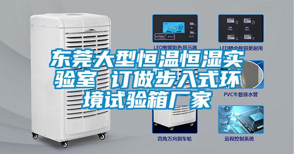 欧美黄色性爱视频网站 东莞大型恒温恒湿实验室 订做步入式环境试验箱厂家