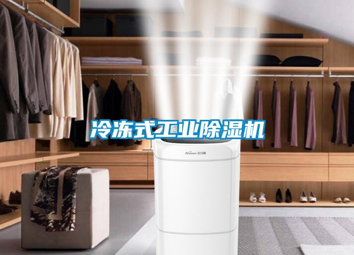 欧美黄色电影在线播放 冷冻式工业除湿机