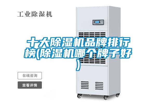 欧美黄色性爱视频网站 十大除湿机品牌排行榜(除湿机哪个牌子好)