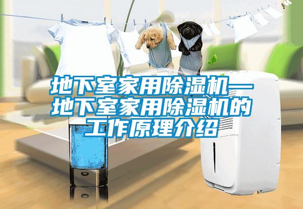 欧美黄色电影在线播放 地下室家用除湿机—地下室家用除湿机的工作原理介绍