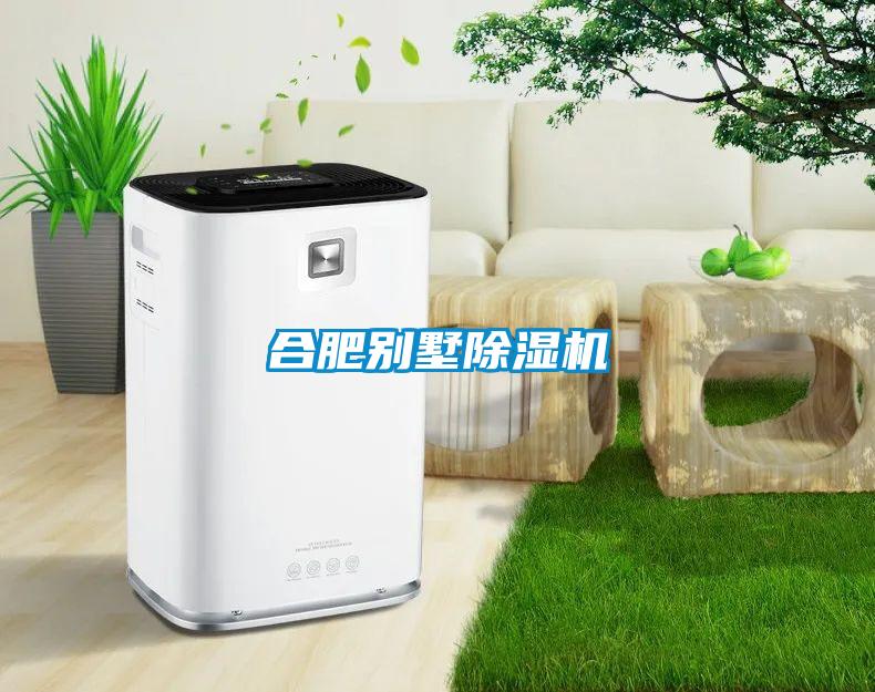欧美黄色性爱视频网站 合肥别墅除湿机
