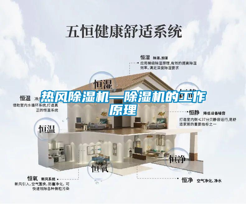 欧美成色手机在线观看 热风除湿机—除湿机的工作原理