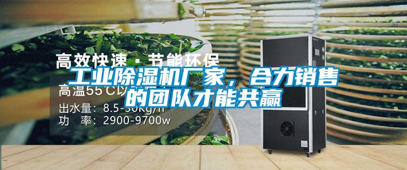 欧美成色手机在线观看 工业除湿机厂家，合力销售的团队才能共赢