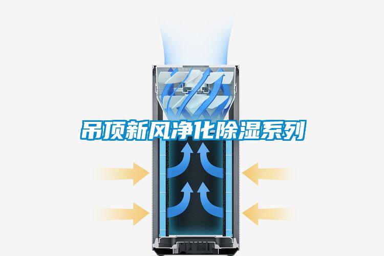 欧美黄色性爱视频网站 吊顶新风净化除湿系列