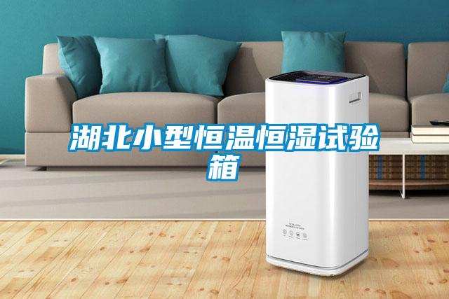 欧美黄色性爱视频网站 湖北小型恒温恒湿试验箱