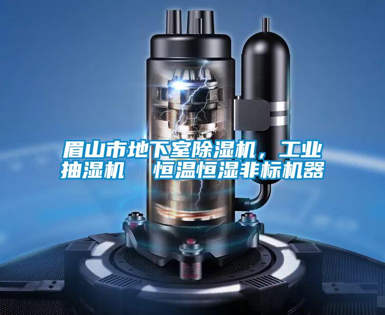 欧美黄色性爱视频网站 眉山市地下室除湿机，工业抽湿机  恒温恒湿非标机器