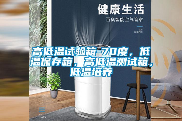 欧美成色手机在线观看 高低温试验箱-70度，低温保存箱，高低温测试箱，低温培养