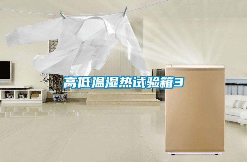 欧美黄色电影在线播放 高低温湿热试验箱3