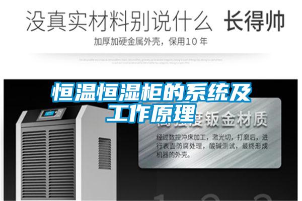 欧美黄色性爱视频网站 恒温恒湿柜的系统及工作原理