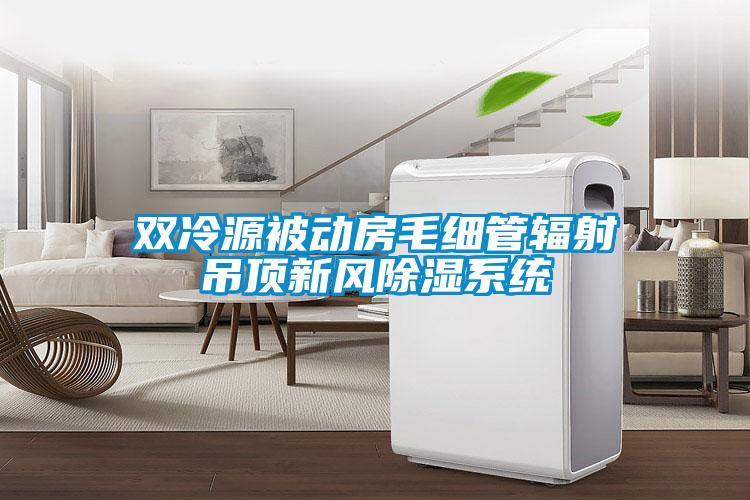 欧美黄色性爱视频网站 双冷源被动房毛细管辐射吊顶新风除湿系统