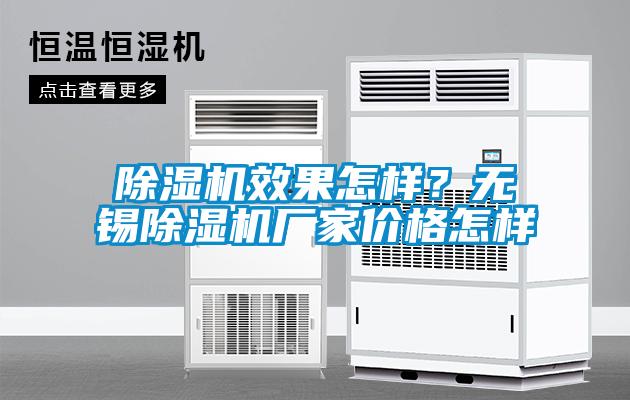 欧美黄色电影在线播放 除湿机效果怎样？无锡除湿机厂家价格怎样