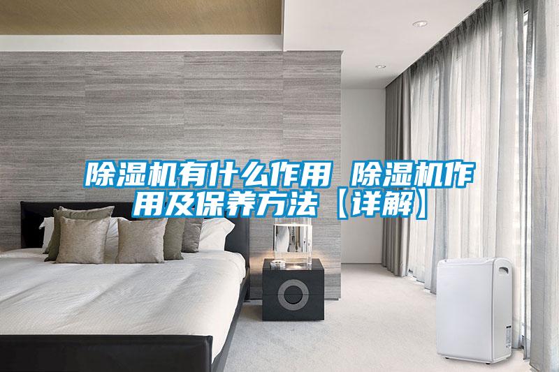 欧美成色手机在线观看 除湿机有什么作用 除湿机作用及保养方法【详解】