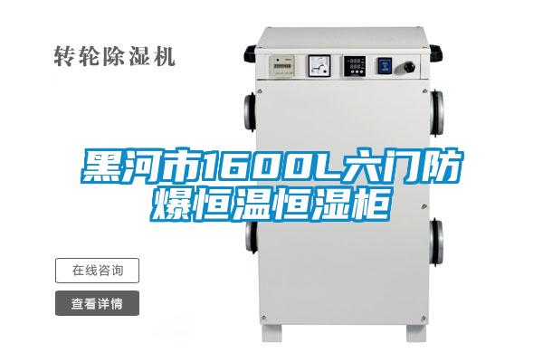 欧美成色手机在线观看 黑河市1600L六门防爆恒温恒湿柜
