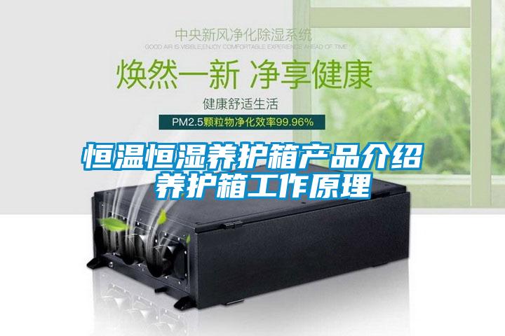欧美黄色电影在线播放 恒温恒湿养护箱产品介绍 养护箱工作原理