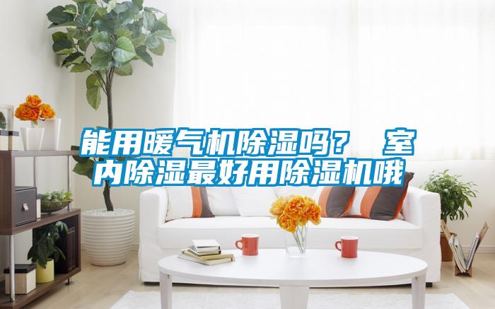 欧美成色手机在线观看 能用暖气机除湿吗？ 室内除湿最好用除湿机哦