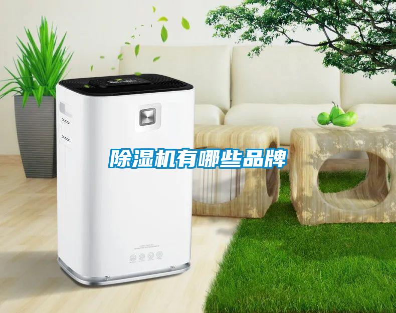 欧美黄色性爱视频网站 除湿机有哪些品牌