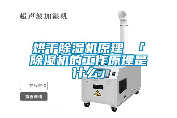 欧美黄色性爱视频网站 烘干除湿机原理 「除湿机的工作原理是什么」