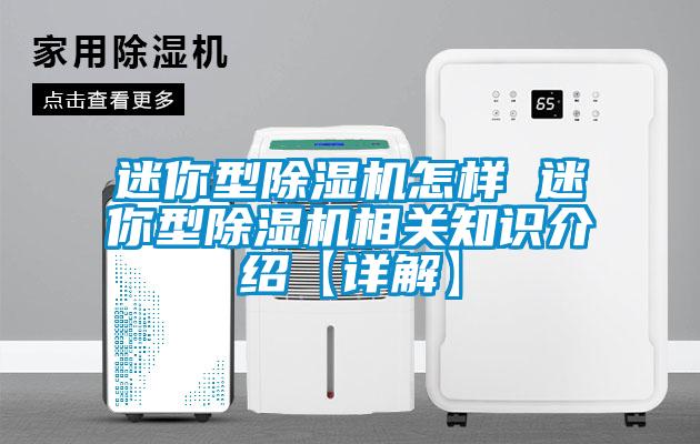 欧美黄色电影在线播放 迷你型除湿机怎样 迷你型除湿机相关知识介绍【详解】