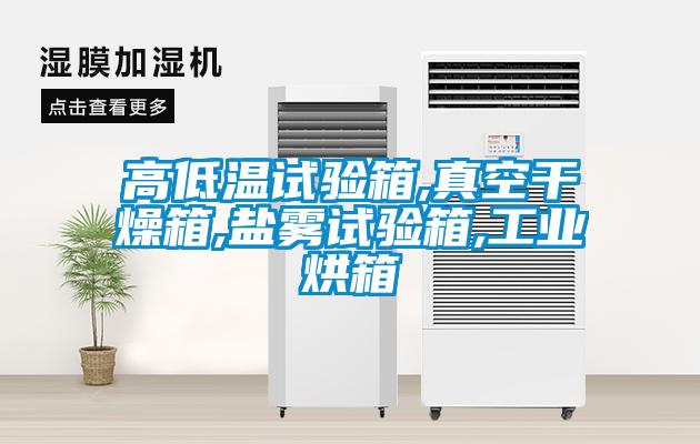 欧美黄色性爱视频网站 高低温试验箱,真空干燥箱,盐雾试验箱,工业烘箱