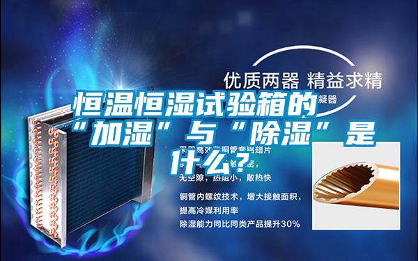 欧美黄色性爱视频网站 恒温恒湿试验箱的“加湿”与“除湿”是什么？
