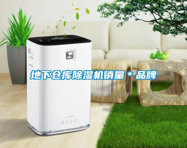 欧美黄色性爱视频网站 地下仓库除湿机销量＊品牌