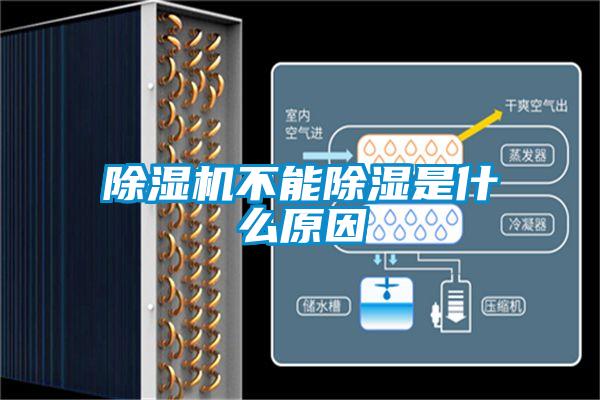 欧美黄色性爱视频网站 除湿机不能除湿是什么原因