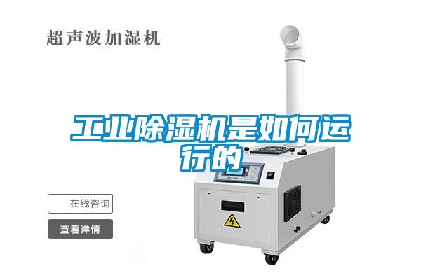 欧美黄色电影在线播放 工业除湿机是如何运行的