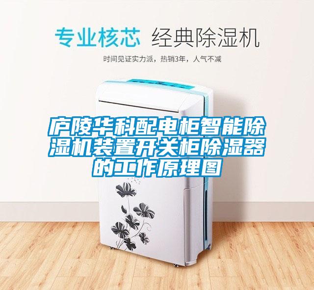 欧美成色手机在线观看 庐陵华科配电柜智能除湿机装置开关柜除湿器的工作原理图