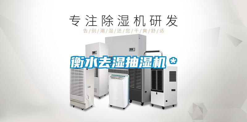 欧美黄色性爱视频网站 衡水去湿抽湿机＊