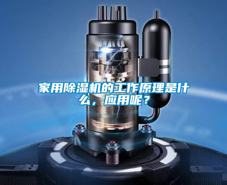 欧美黄色性爱视频网站 家用除湿机的工作原理是什么，应用呢？