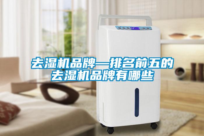 欧美黄色性爱视频网站 去湿机品牌—排名前五的去湿机品牌有哪些