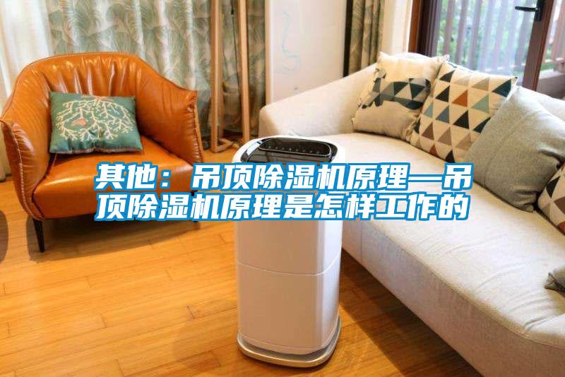 欧美成色手机在线观看 其他：吊顶除湿机原理—吊顶除湿机原理是怎样工作的