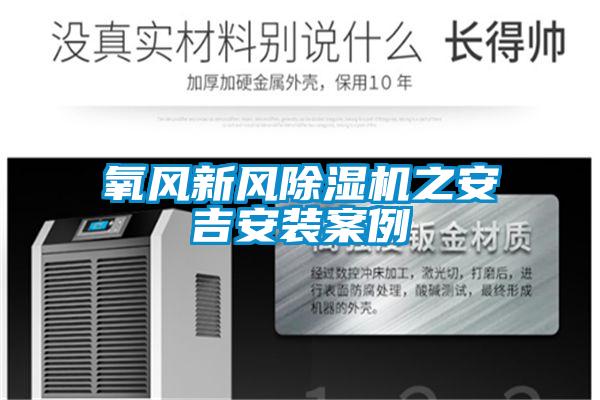 欧美黄色电影在线播放 氧风新风除湿机之安吉安装案例