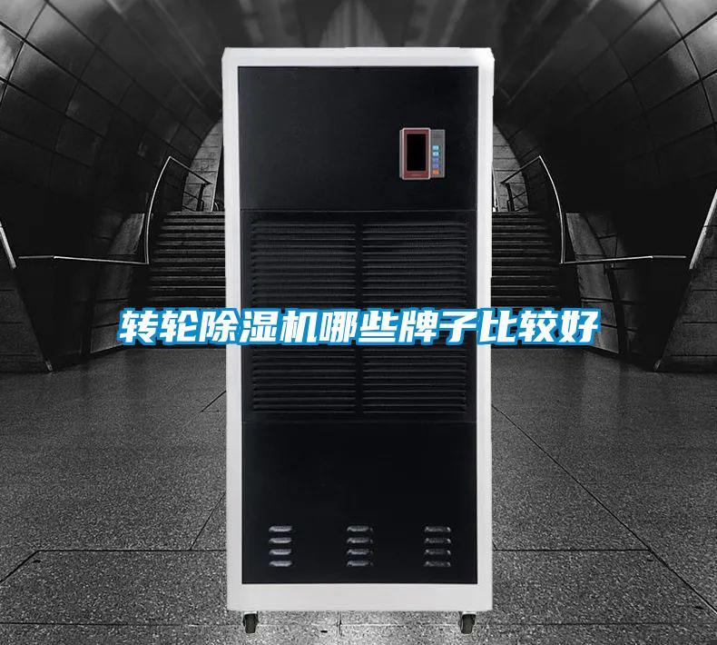欧美黄色性爱视频网站 转轮除湿机哪些牌子比较好