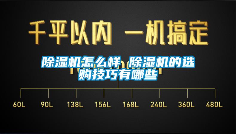 欧美成色手机在线观看 除湿机怎么样 除湿机的选购技巧有哪些