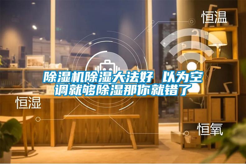 欧美黄色性爱视频网站 除湿机除湿大法好 以为空调就够除湿那你就错了