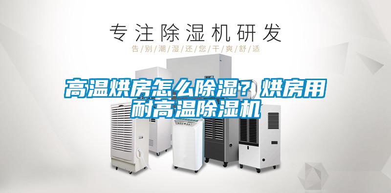 欧美黄色性爱视频网站 高温烘房怎么除湿？烘房用耐高温除湿机