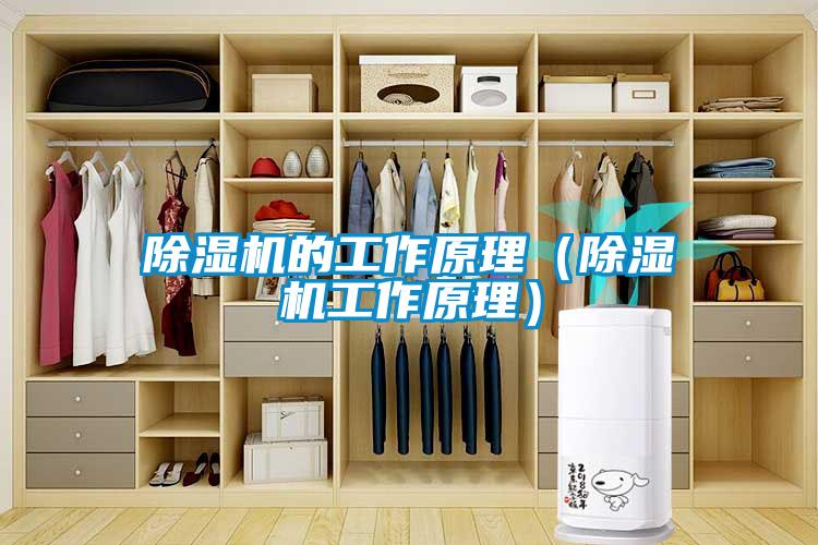 欧美成色手机在线观看 除湿机的工作原理（除湿机工作原理）