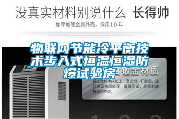 欧美黄色电影在线播放 物联网节能冷平衡技术步入式恒温恒湿防爆试验房