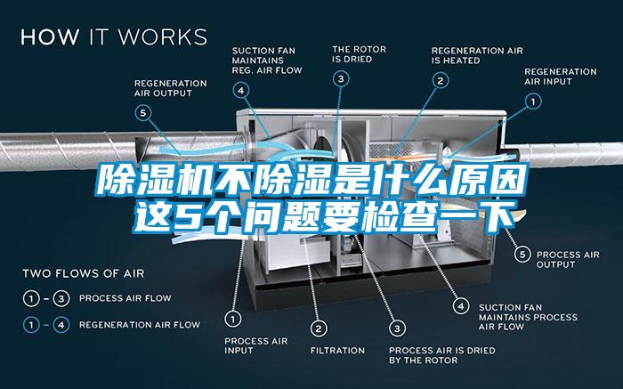 欧美黄色性爱视频网站 除湿机不除湿是什么原因 这5个问题要检查一下