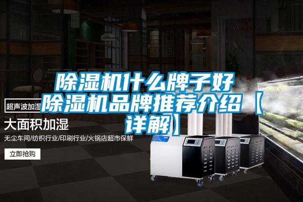 欧美黄色电影在线播放 除湿机什么牌子好 除湿机品牌推荐介绍【详解】