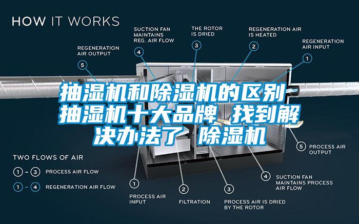 欧美黄色性爱视频网站 抽湿机和除湿机的区别 抽湿机十大品牌 找到解决办法了 除湿机