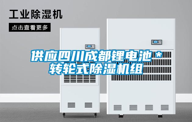 欧美黄色电影在线播放 供应四川成都锂电池＊转轮式除湿机组